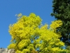 p1050202