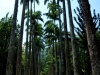 p1080088