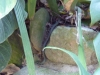 p1080112