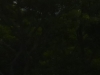 p1080439