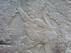 p1160648