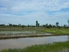 p1170033