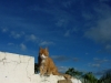p1070785