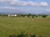 p1010891