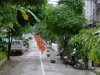 p1000058