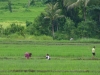 p1000085