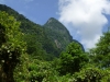 p1000339