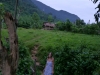 p1000549