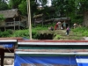 p1000864