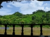 p1000882