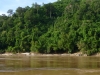 p1000896