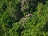 p1000898