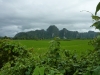 p1170685