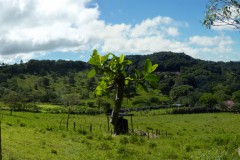 nicaragua