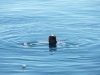 p1050686