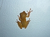 p1150585