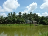 p1150652