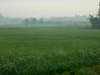 p1160121