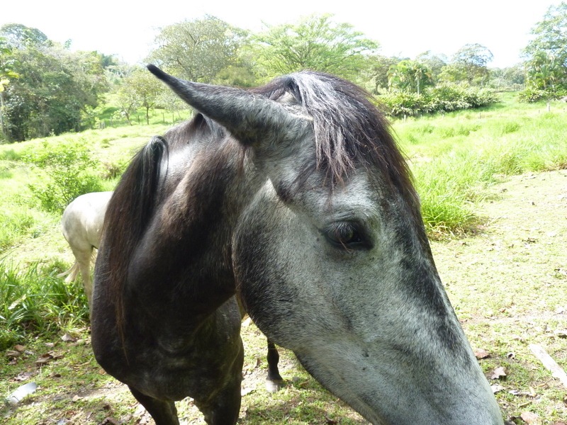 P1070640