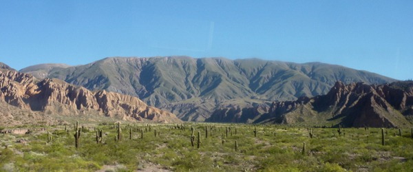 P1110399