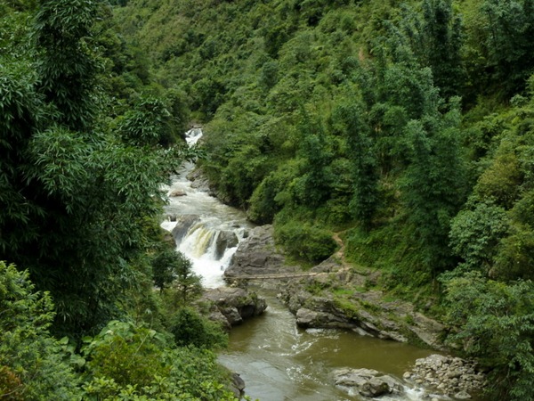 P1140638-001