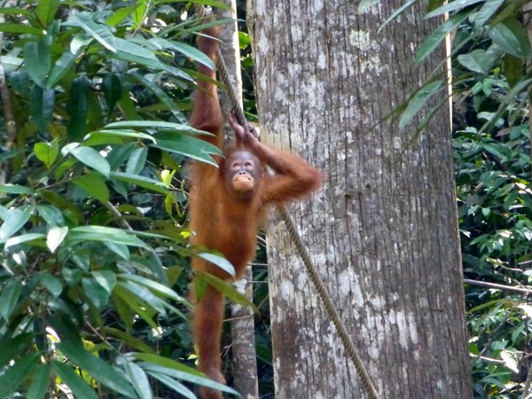 P1020605