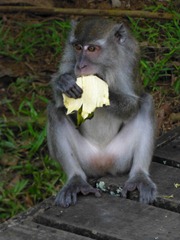 P1020869