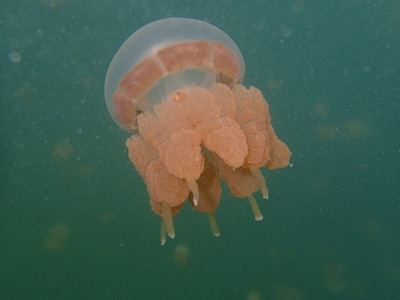 P9270924