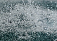 P9281006