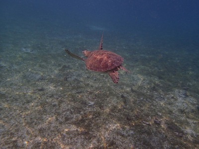P9281089