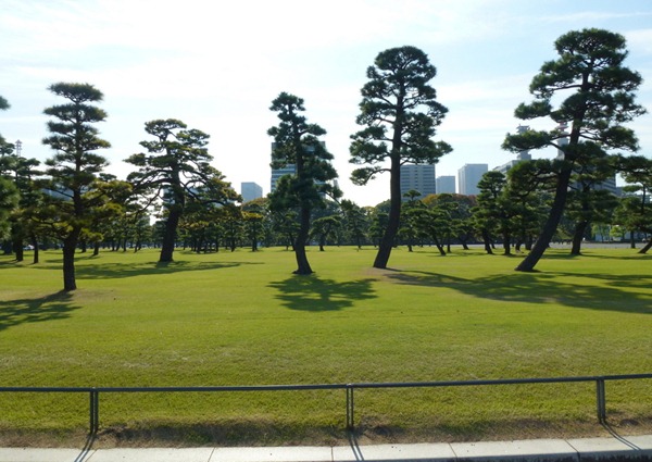 P1010133