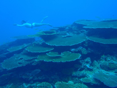 P1011245