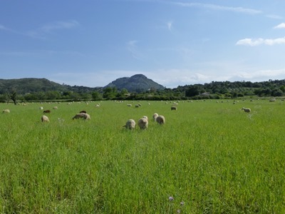 P1010885